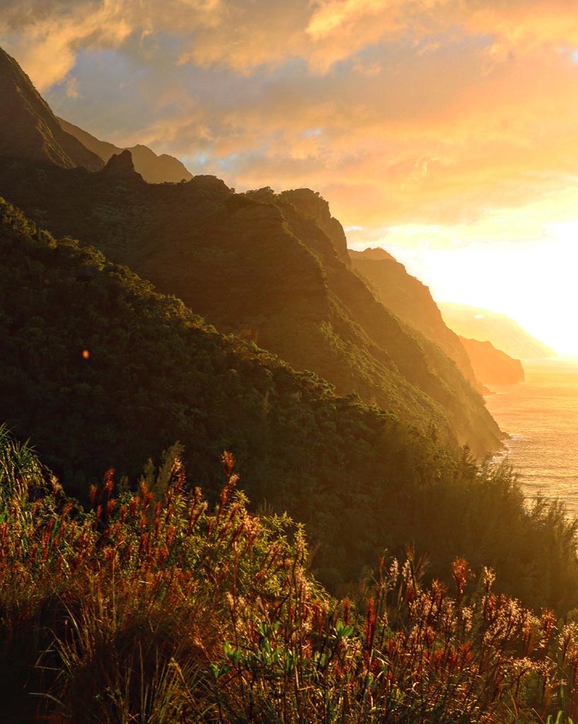 Holy Kauai! The ocean mist really made for a fairytale scene! :)