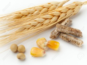 robertlufkinmd's tweet photo. One reason why unhealthy processed junk food
which drives chronic disease
Is so cheap is that its main junk ingredients,
sugar, wheat, corn, and soy are all
subsidized by the federal government. https://t.co/YLlHtMMJ9s