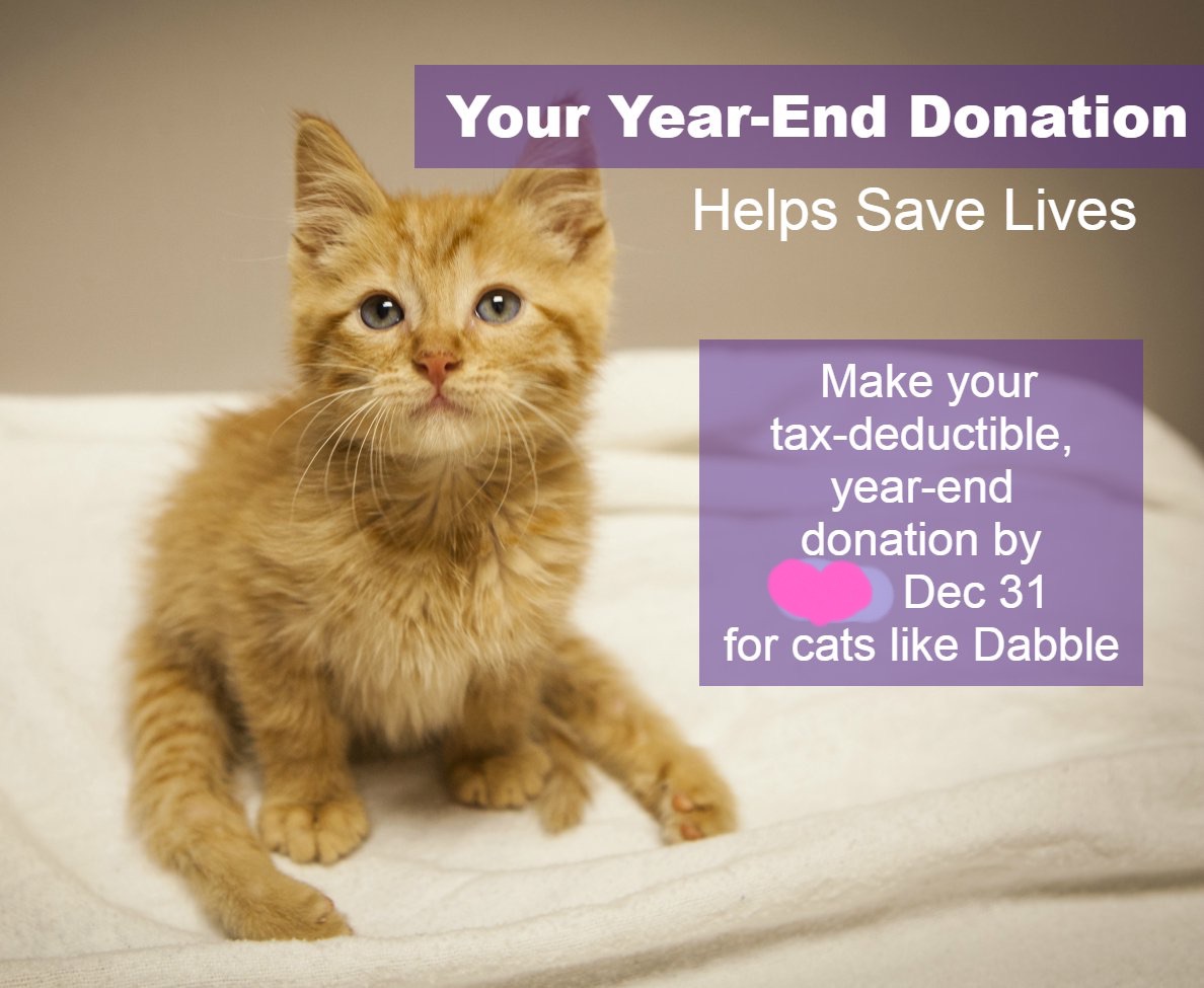 Your 'tax write-off' will help the homeless felines - mailchi.mp/animalkindny/y…