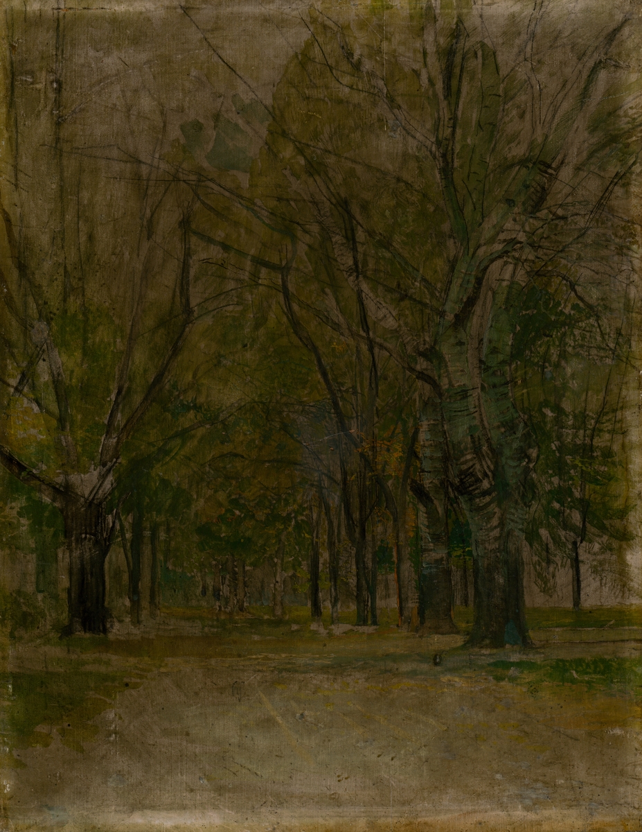 SlovakArt's tweet photo. Ladislav Mednyánszky, Study of Alley, 1880 #museumarchive #slovaknationalgallery https://t.co/LpRroSs7Bf https://t.co/F9spHZ1nBB