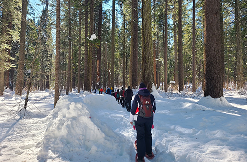 cvdcastateparks's tweet photo. Calaveras Big Trees SP is also having a First Day Hike to kick off 2023!π²
When: 1/1/23 at 11 am
Where: Meet at the Warming Hut near the Visitor Center
Contact: calaverasbigtreessp@parks.ca.gov or call (209)795-7980
#BigTrees #HikeInto2023 #FirstDayHike2023 #CAStateParks https://t.co/jcR5vUkDe7