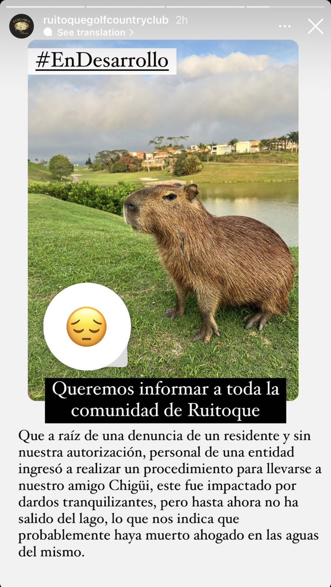 FotoMultaSocial's tweet photo. Esto merece una explicación y una MEGA FotoMultaSocial 
Exigimos una explicación del por qué la @CARCDMB asesinó al chigüiro que habitaba en Ruitoque Condominio 
@PoliciaBmanga @susanamuhamad https://t.co/DAMOYxy6TE