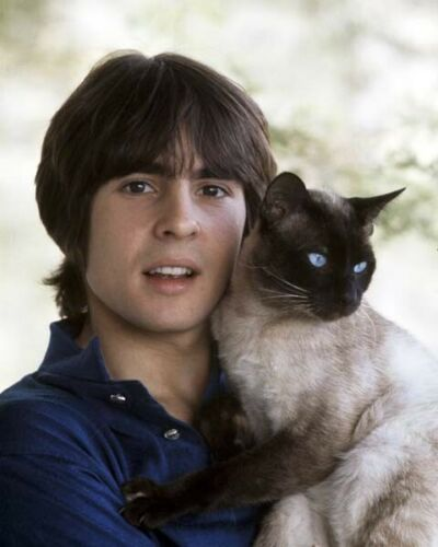 Remembering singer, songwriter, musician, film/stage/television actor, and businessman Davy Jones, who was born #OTD (December 30th) in 1945.  #TheMonkees #Head #LoveAmericanStyle #TheBradyBunch #MyTwoDads