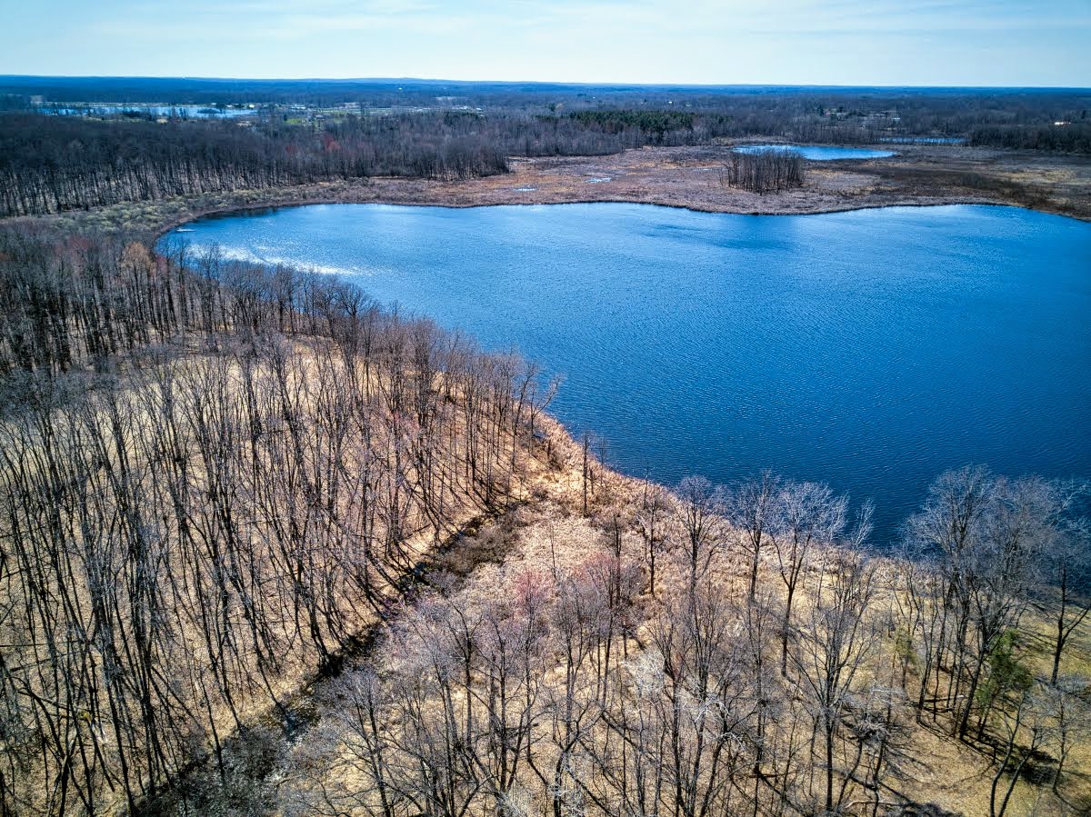 SMLCland's tweet photo. It's not too late to protect, restore, and save more local woods, wetlands, and prairies with your 2022 gift today - the birds, bees, flowers, and trees thank you!

https://t.co/Y8fsta1q3R

#naturelove #SMLClands 

Photo by Mark Even https://t.co/B6vEMf11ni