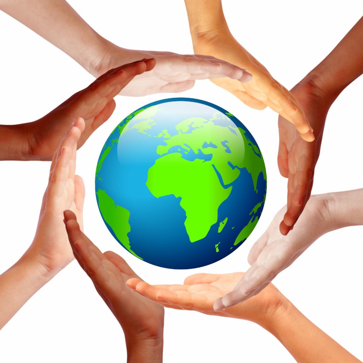 KnibGoGreen's tweet photo. https://t.co/3ZNkbUshMi https://t.co/iX6AxXreMH