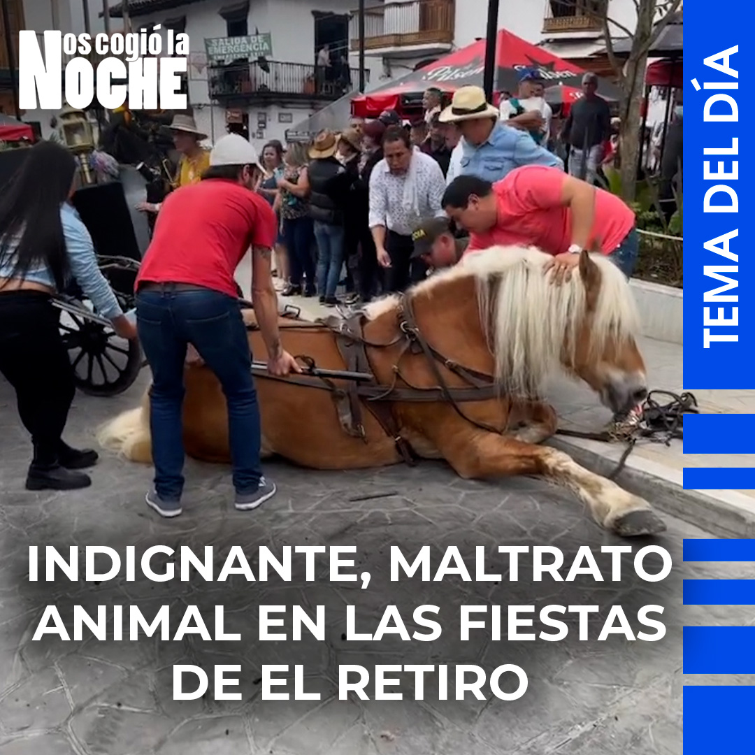 Nos Cogió la Noche Noticias tweet media