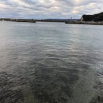 ツイートに含まれる画像