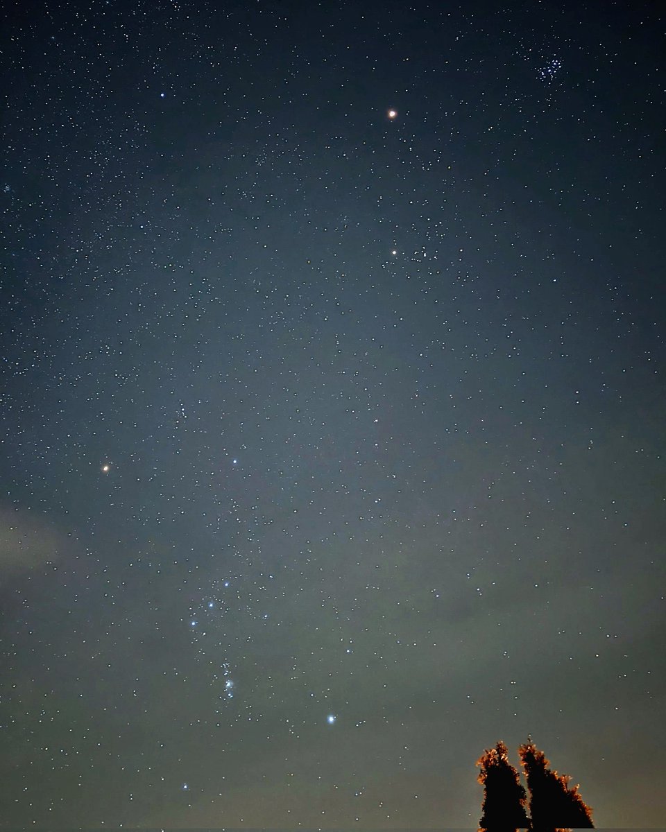 chriscookman1's tweet photo. The Night Sky | Orion, Mars and the Peliades
29th December 2022
Google Pixel 6 Pro | Astro mode
#nightsky #orion #mars #Peliades #constellation #astrophotography #matlock #googlepixel6pro #teampixel https://t.co/SXAyEFLKCx
