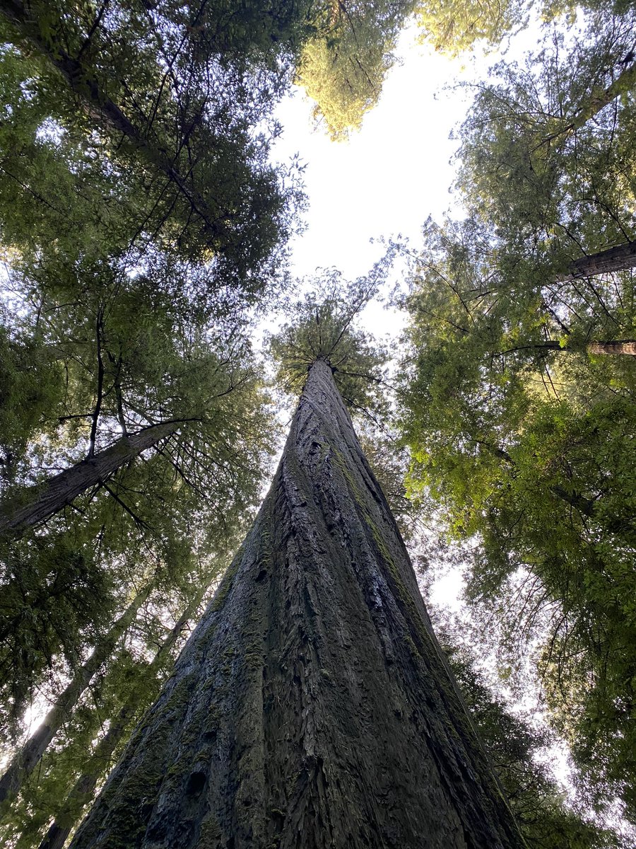 Dr. Christian Commander tweet media