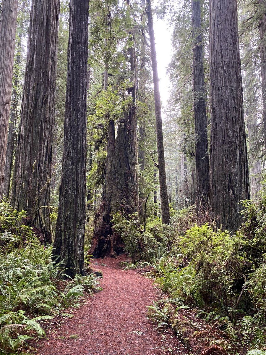 Dr. Christian Commander tweet media