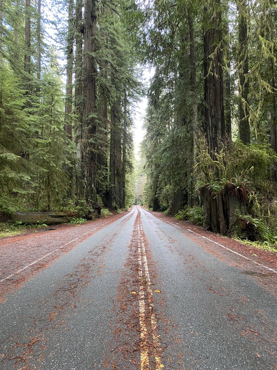 Dr. Christian Commander tweet media