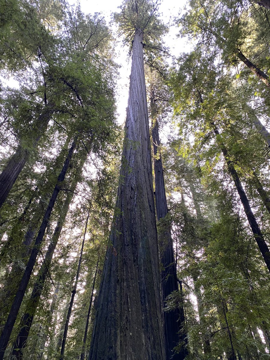 Dr. Christian Commander tweet media