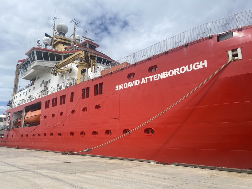 Emma Stuart tweet media