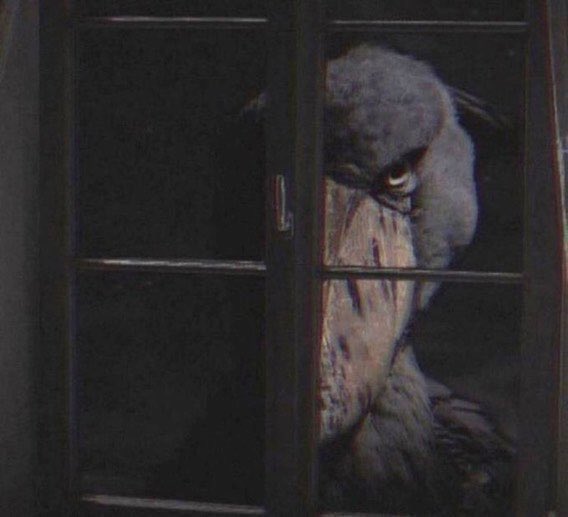 onyxiana tweet media