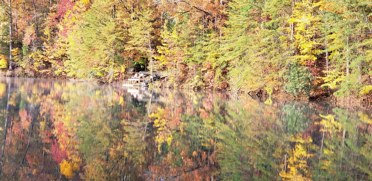 New town every hour on Twitter "Cherry Log, Population 47 Photos from Google Places