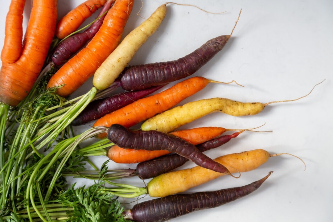 GritMagazine's tweet photo. Heirloom carrot seeds produce a rainbow of interesting colors: white, yellow and purple varieties. Learn about their characteristics and history below:

https://t.co/nMZPP4BT5Y

#garden #openpollinated #seeds https://t.co/ZC0UFefCKK