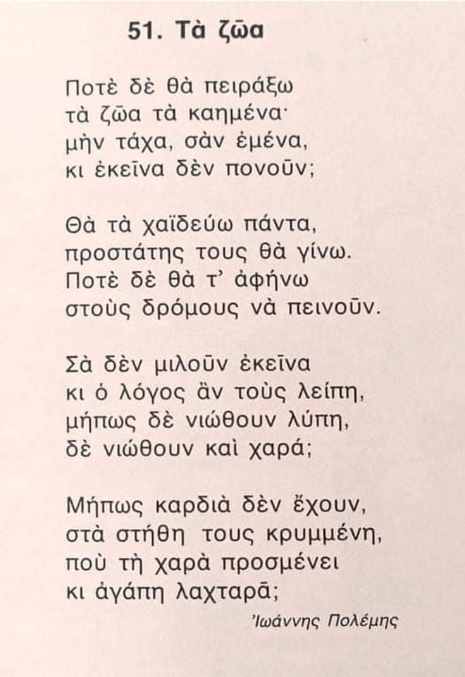 Giannis Eutuxiadis (@gianniseutux) on Twitter photo 