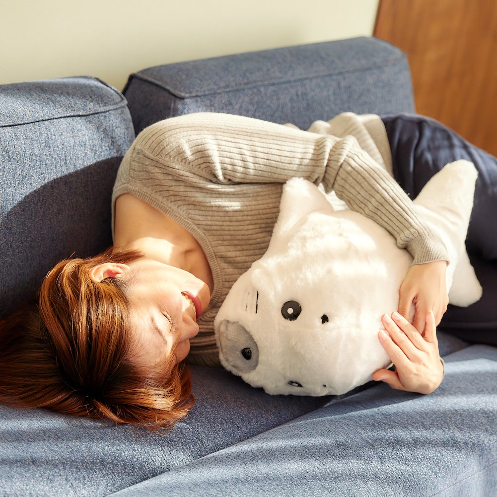 いねむりゴマちゃん せっかく気持ちよく寝てたのに。。。 ゴマちゃんぬいぐるみ先行受付