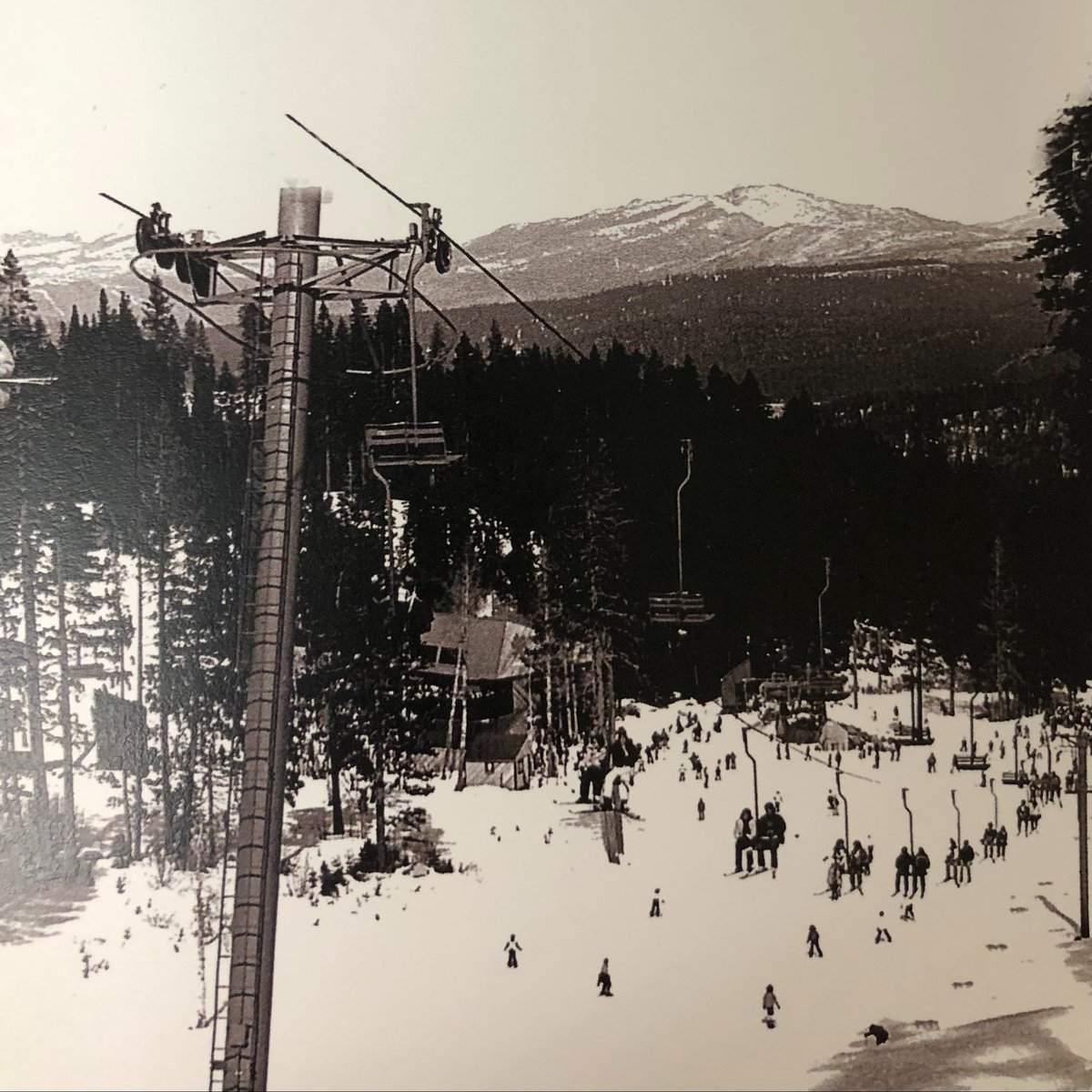 Ski California tweet media