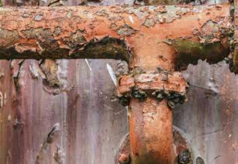 Do you think that lead may be lurking in your home? Chris Phillips weighs in on making your home a lead-free haven. From Neighbours of High Park Magazine.
greeninghomes.com/neighours-of-h… #lead #leadfree #nontoxic #healthyhome