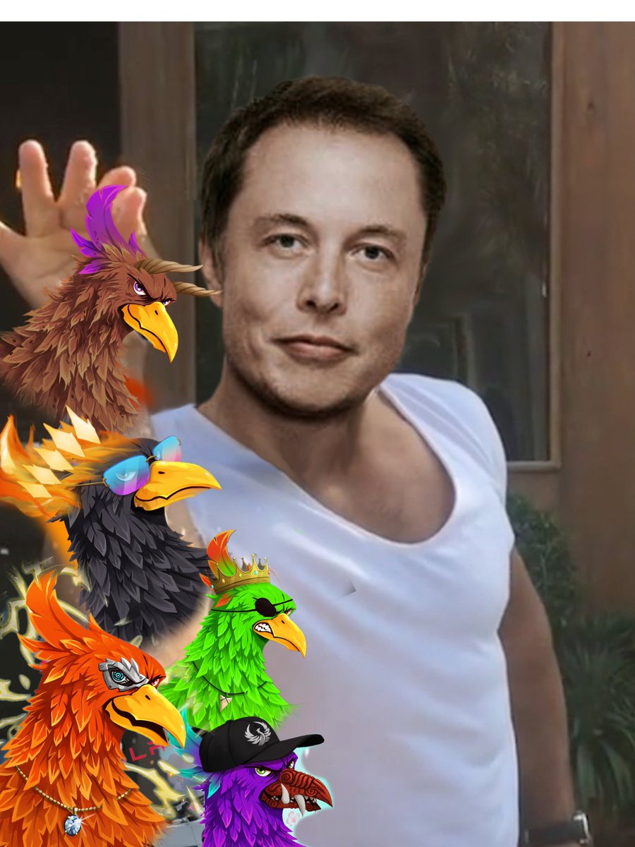 I can’t say enough good things about @phenixfinance 🦅🔥NFT staking is phenomenal &amp; the utility unbeatable. Holding $PHNX earns 1.8% a day and with the dex, vaults, marketplace &amp; many other things right around the corner $PHNX will just keep rising. <a href="/TopStockTips1/">T$T</a> <a href="/elonmusk/">Elon Musk</a>