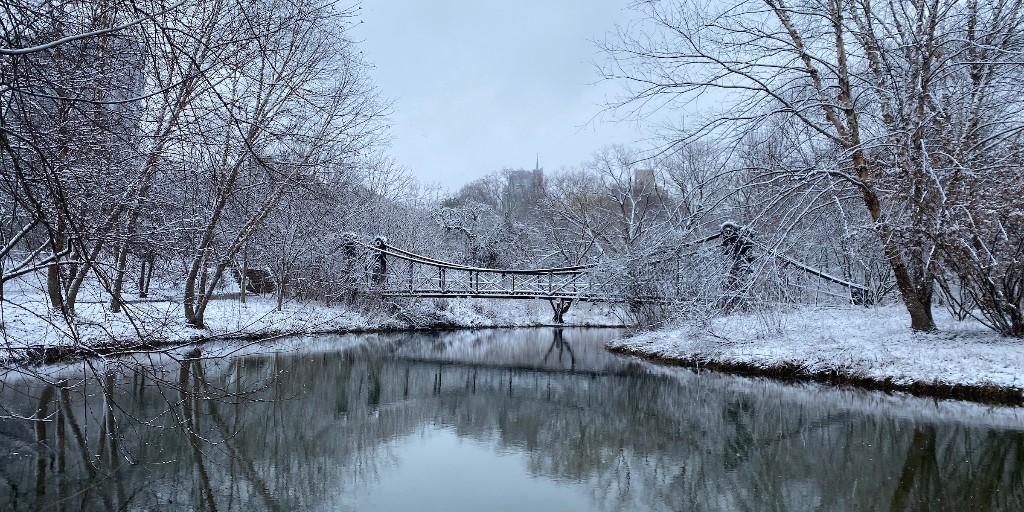 Nature is the key to stress management and recovery. #ForestParkForever #ForestPark #ForestParkStL #ForestParkPic #HeartOfThePark
forestparkforever.org/heart