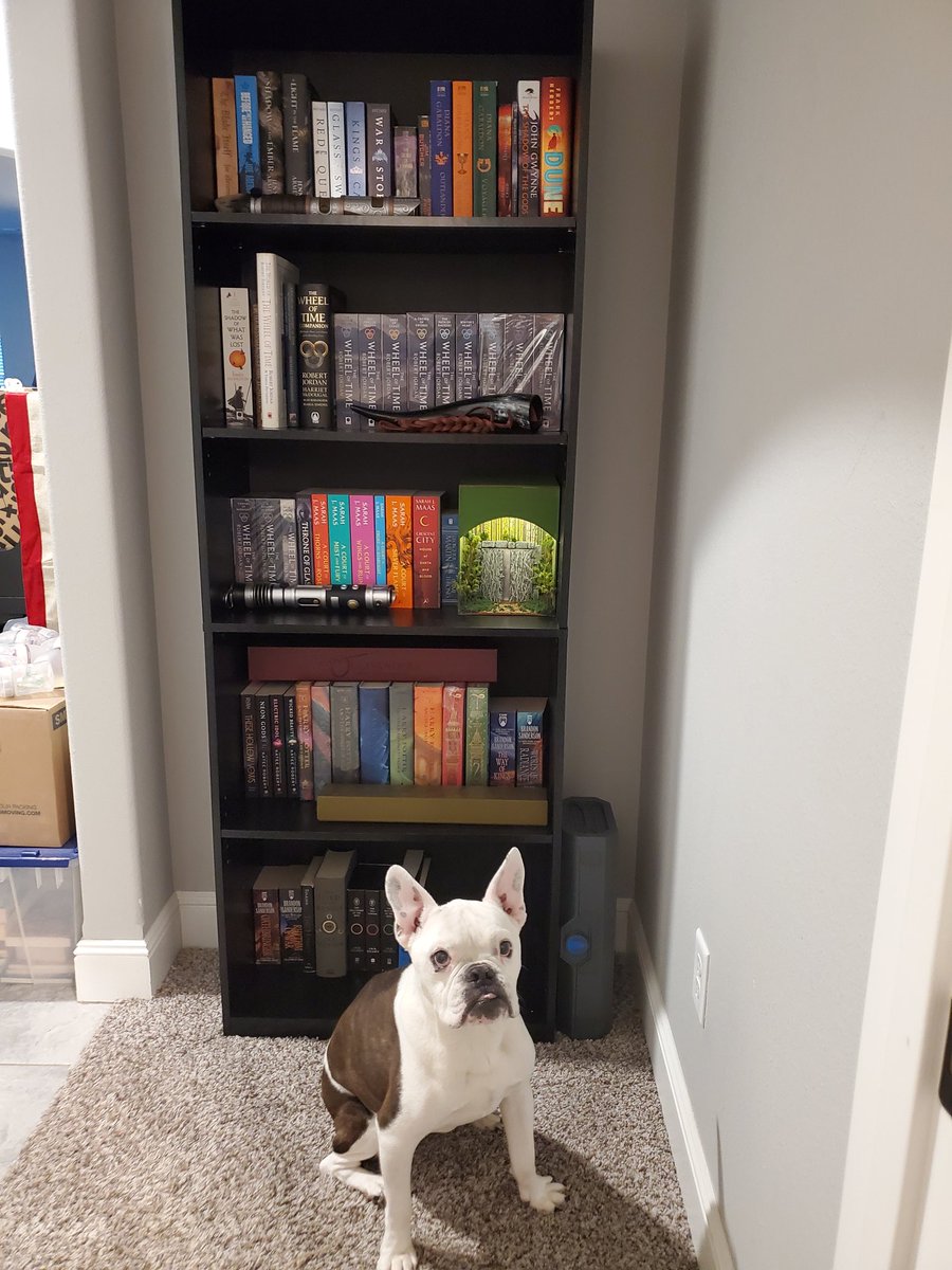 EvalynnPAshley's tweet photo. @DanielBGreene roast my bookshelf daddy goblin. #roastmybookshelf #roast #books #DanielBGreene #BookTwitter https://t.co/vUgOl1Dcfl