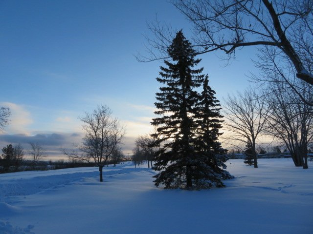 pattage23's tweet photo. Winter in Saskatoon is beautiful. 🙂
#WinterWalks #yxeWinter
/end https://t.co/NUskI68OSp