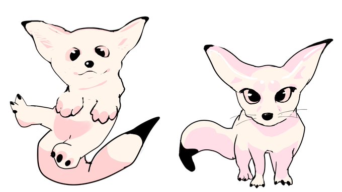 ふぇねっく 