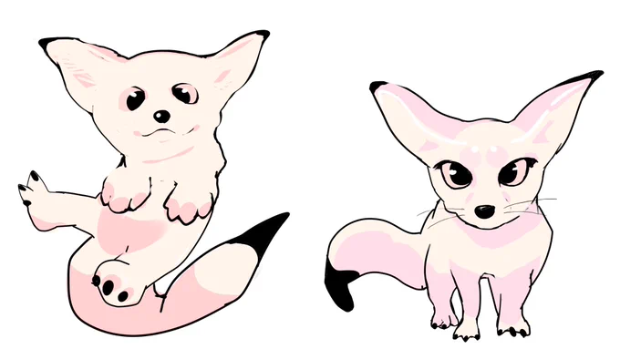 ふぇねっく 