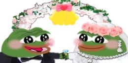 SparkIgnite tweet media