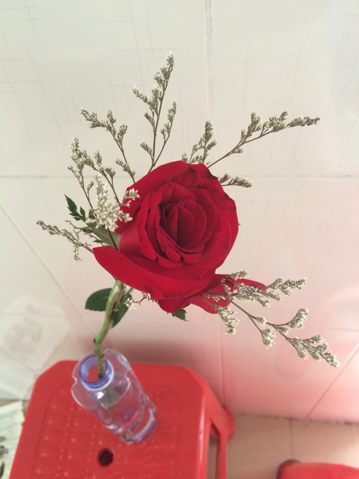 HelaineSaton's tweet photo. What a beauty...🥰😋 https://t.co/f5OENAV37E