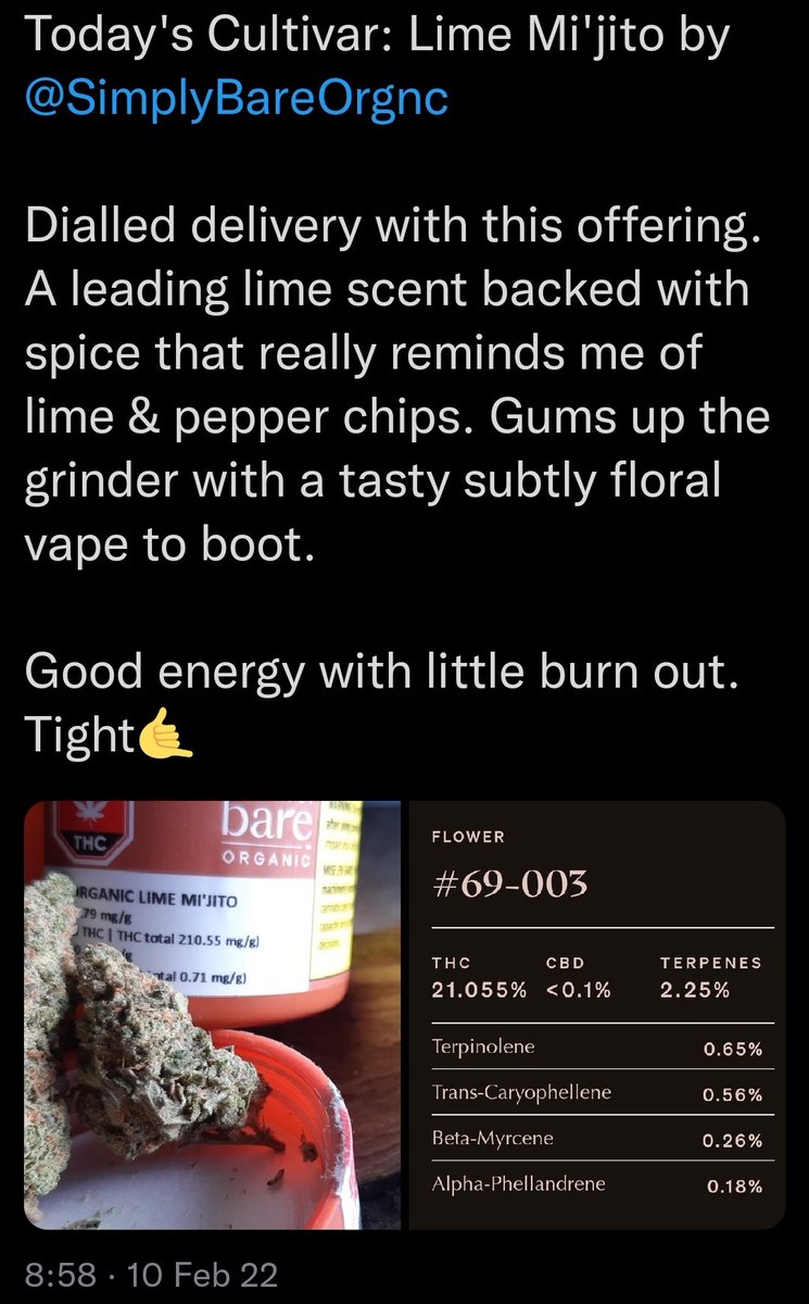 Terp_Hunter tweet media