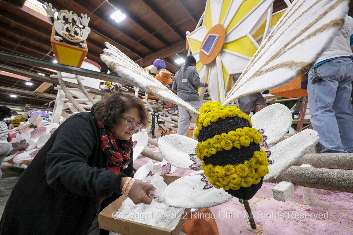 ringochiu's tweet photo. Volunteers work on floats for the 134th Rose Parade.
#roseparade #roseparade2023 #roseparadepasadena #134throseparade #flowers #floats #paradefloats #pasadenacalifornia https://t.co/eT3KjDWOkJ