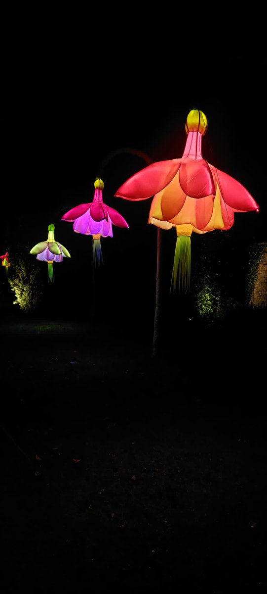 nickydepasse's tweet photo. Une féerie dans les Jardins perdus de Heligan. #Thelostgardens. #corwall https://t.co/mt3150JkYl