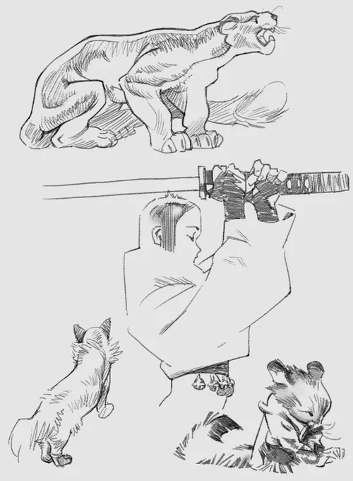 Claire Study 