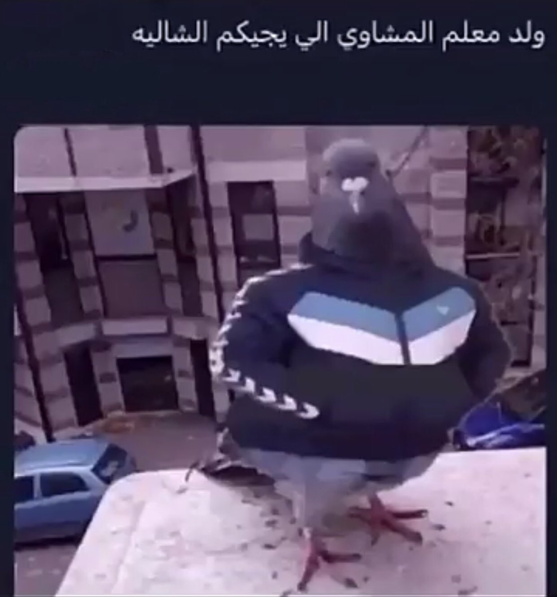 s (@ggg50737303) on Twitter photo 