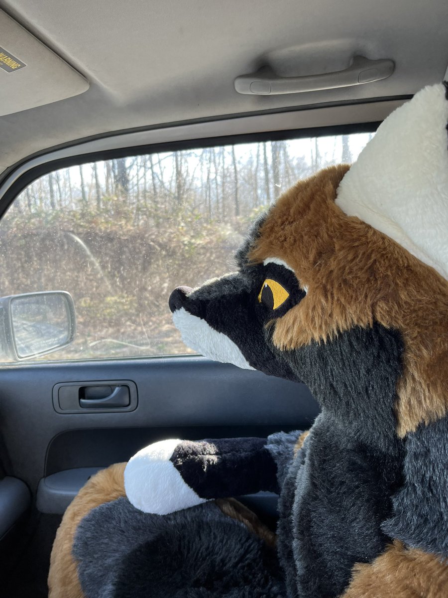 Uh oh, dad said we’re going to the “park” today