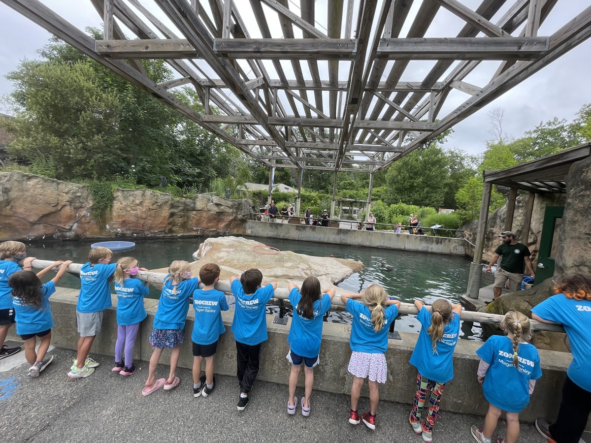 Calling all 13-17 year-olds! 🚨 DEADLINE IS JANUARY 6th 🚨 bpzoo.org/volunteer/coun…