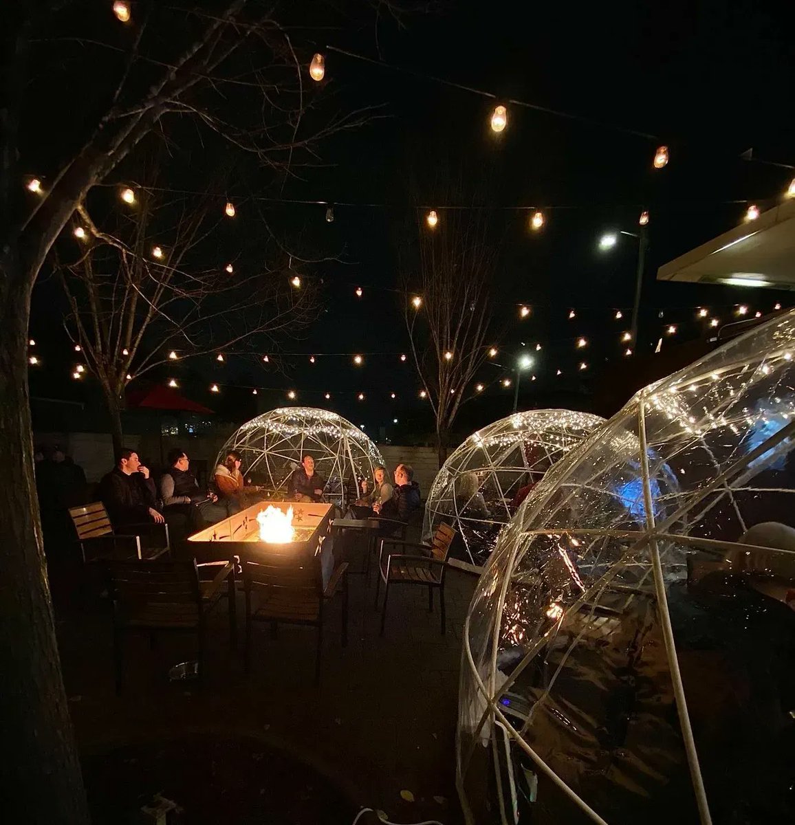 Downtown Knoxville tweet media