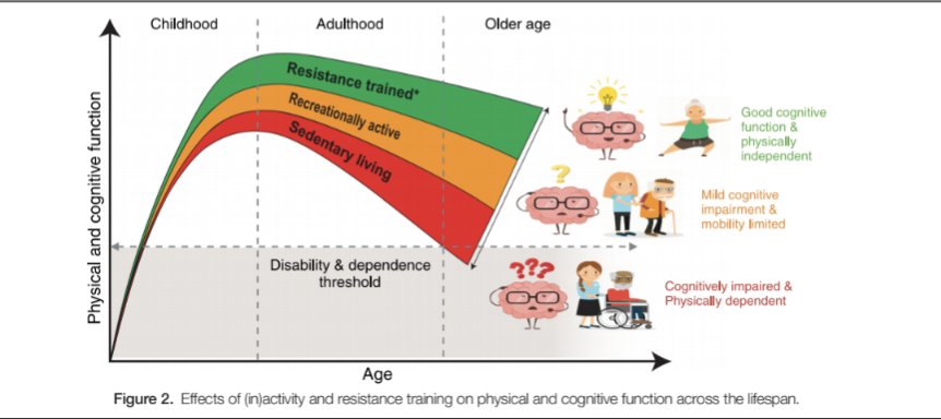 🏋️💪🏼The Health Benefits of Resistance Exercise: Beyond Hypertrophy and ...