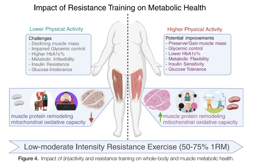 🏋️💪🏼The Health Benefits of Resistance Exercise: Beyond Hypertrophy and ...