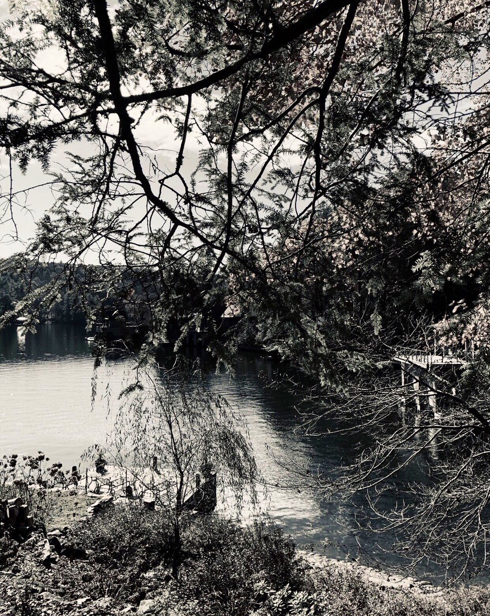 Dana Blake Scopa tweet media