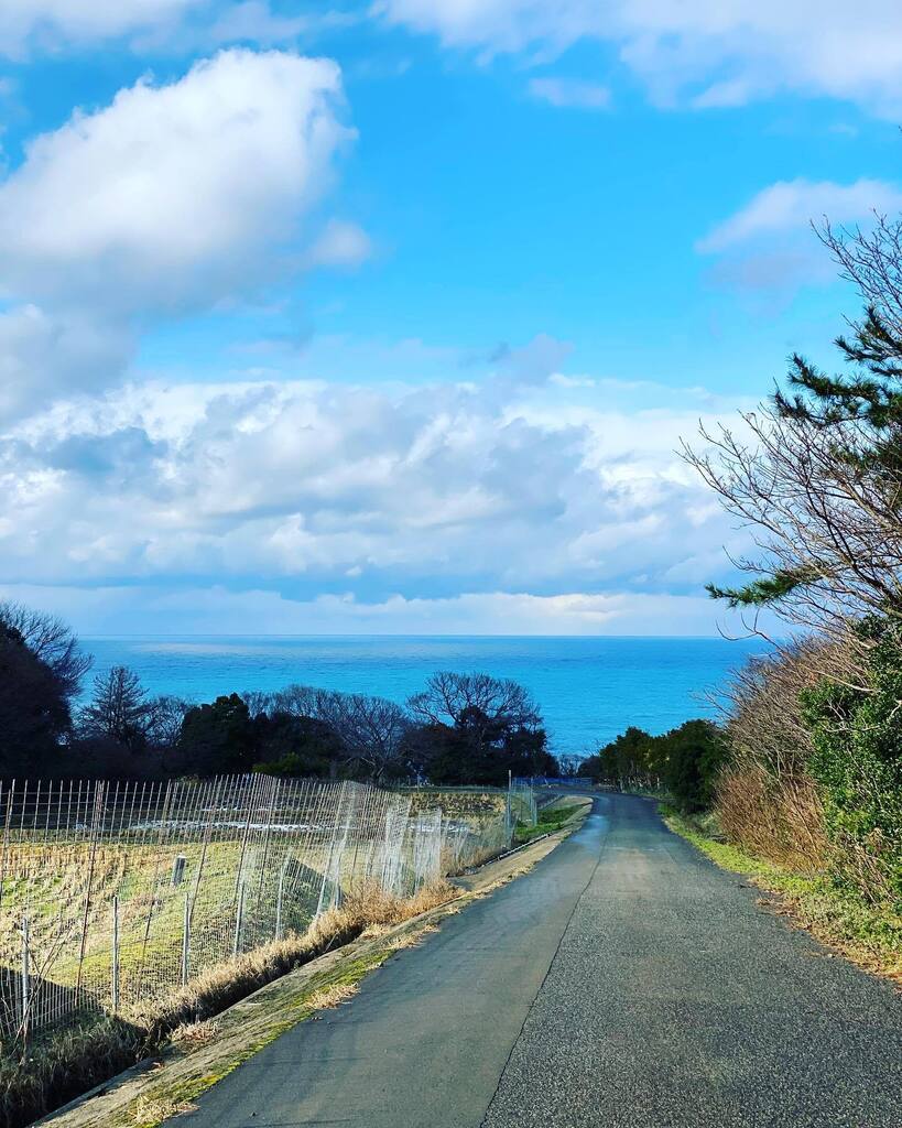 discoverechizen's tweet photo. #福井 #越前海岸 #越前海岸盛り上げ隊 #fukui #echizen #discoverechizen https://t.co/14Z3qU7u42