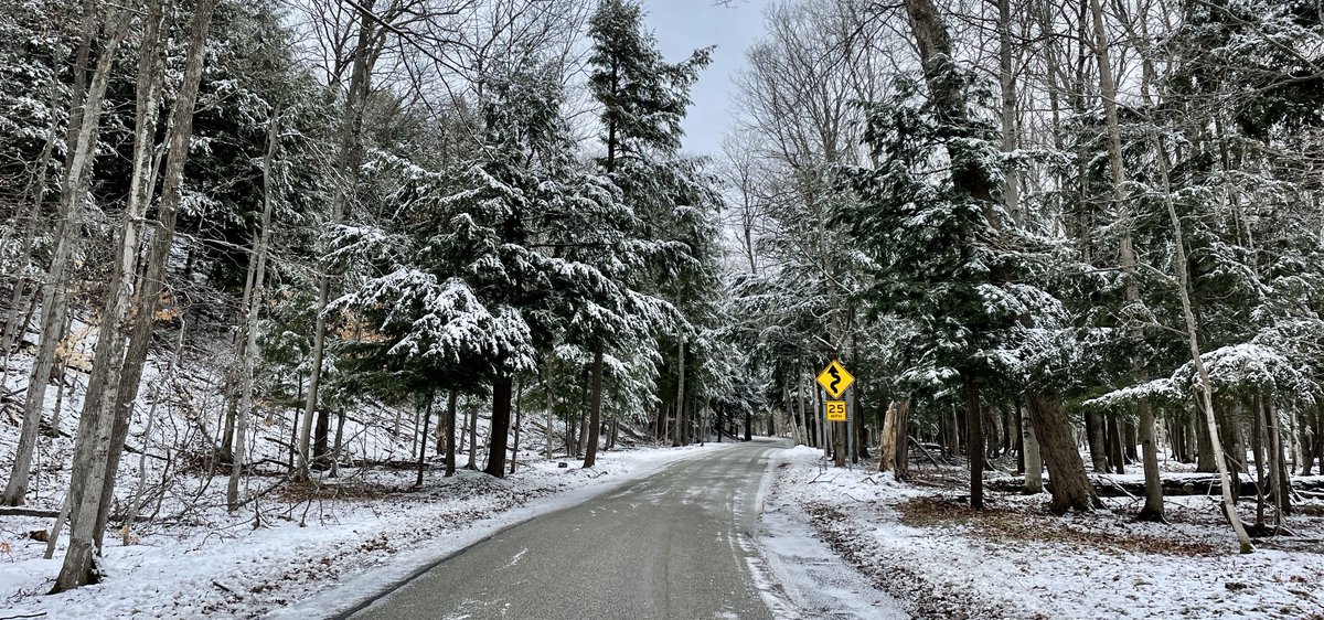 tunneloftrees's tweet image. Hodophile: Lover of roads. 🏍🚘🍂  #TunnelofTrees #M119