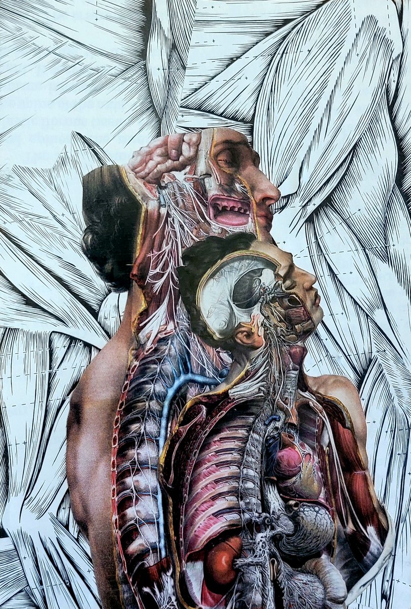 Cat_Russell_'s tweet photo. Some anatomy pieces from 2022 https://t.co/Ya6iE9m6zF