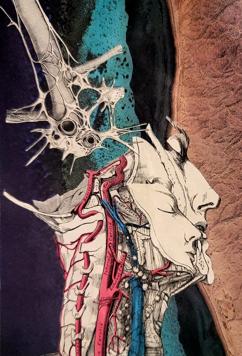Cat_Russell_'s tweet photo. Some anatomy pieces from 2022 https://t.co/Ya6iE9m6zF