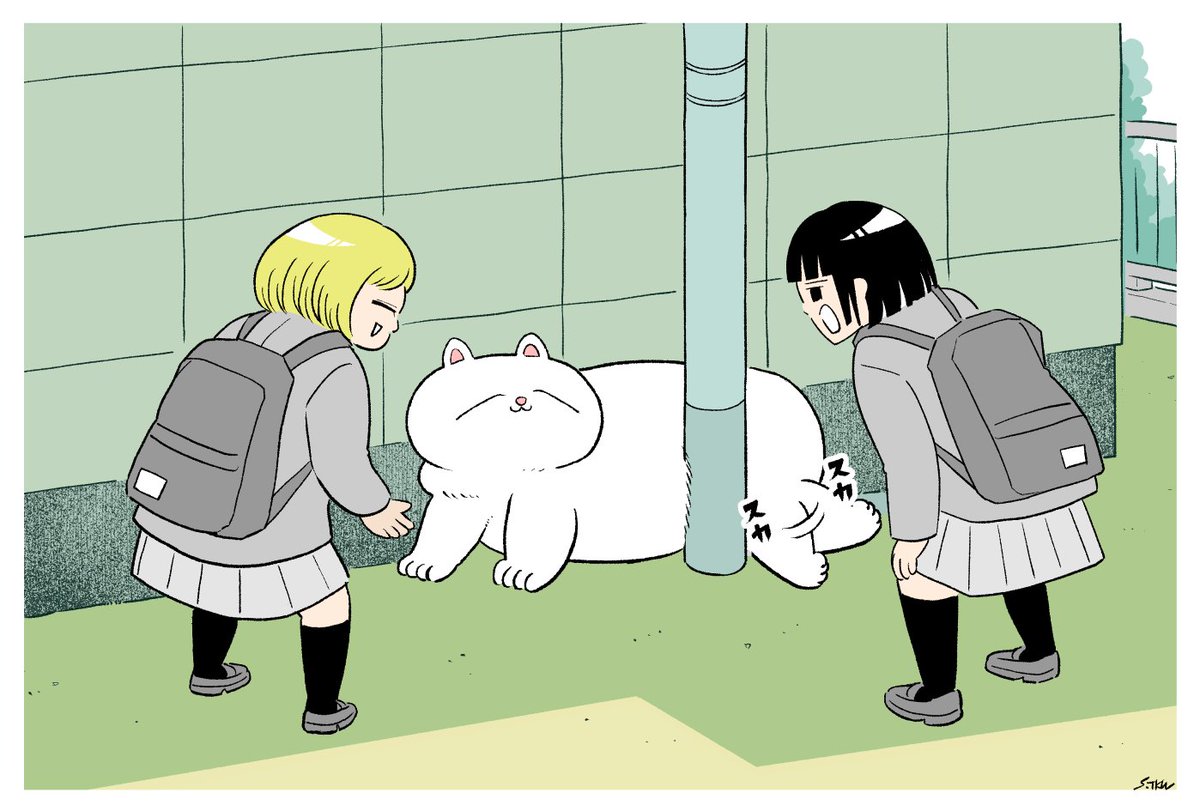 きつね。たぬき。ねこ。人。
気に入ってるもの。#今年の4枚 