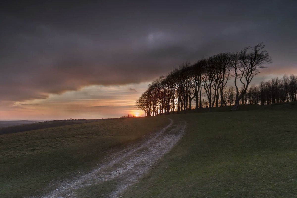 sdnpa's tweet photo. The South Downs has been a place of worship for centuries.

Pick a day to head to Chanctonbury Ring.

Whilst likely an Iron Age hillfort, a Roman temple has been discovered on the site and superstitions still abound about witches and the Devil.

📷 Sean Lewis

#SouthDowns https://t.co/rxBSsQoLRi