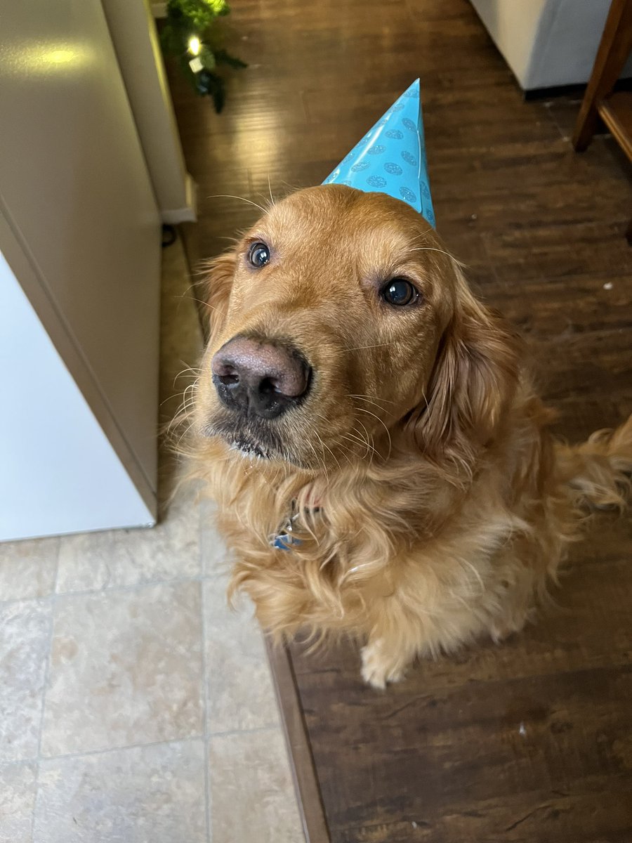 Life update: it was coopers birthday yesterday, tell him happy brithday😡